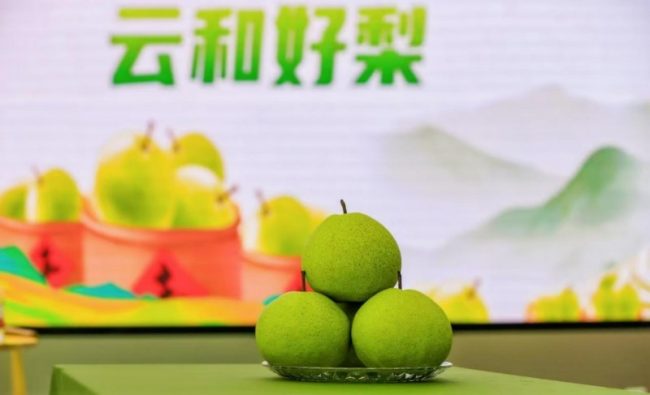 1758126293-e2e8b58fd4073bd