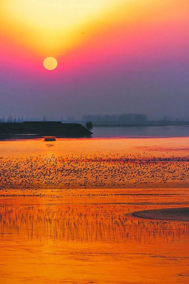 1763564105-4ffce04d92a4d6c