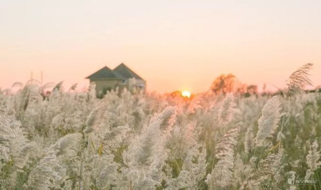 1763564106-4ffce04d92a4d6c-1