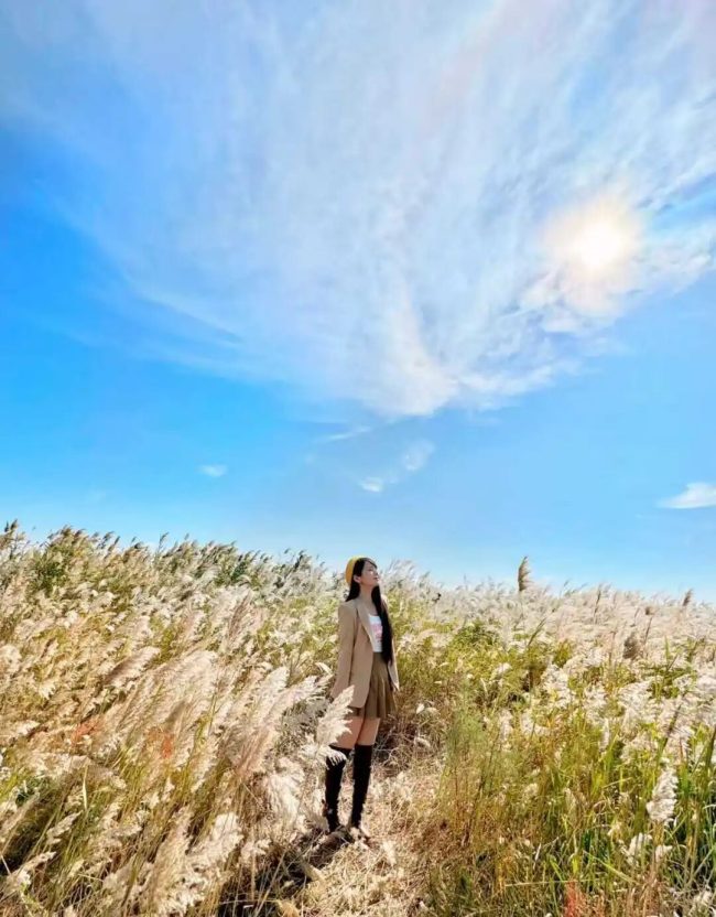 1763564106-4ffce04d92a4d6c