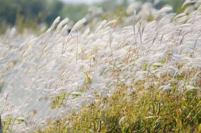 1763564106-4ffce04d92a4d6c