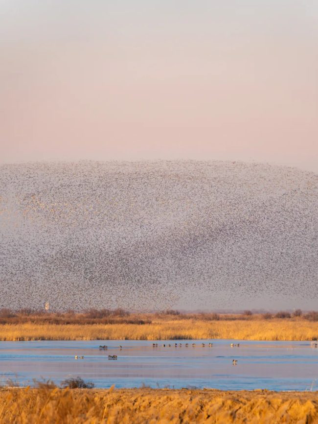 1763564107-4ffce04d92a4d6c-1