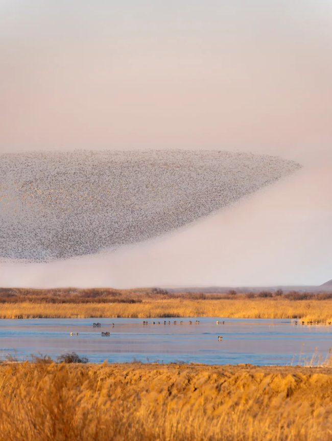 1763564107-4ffce04d92a4d6c