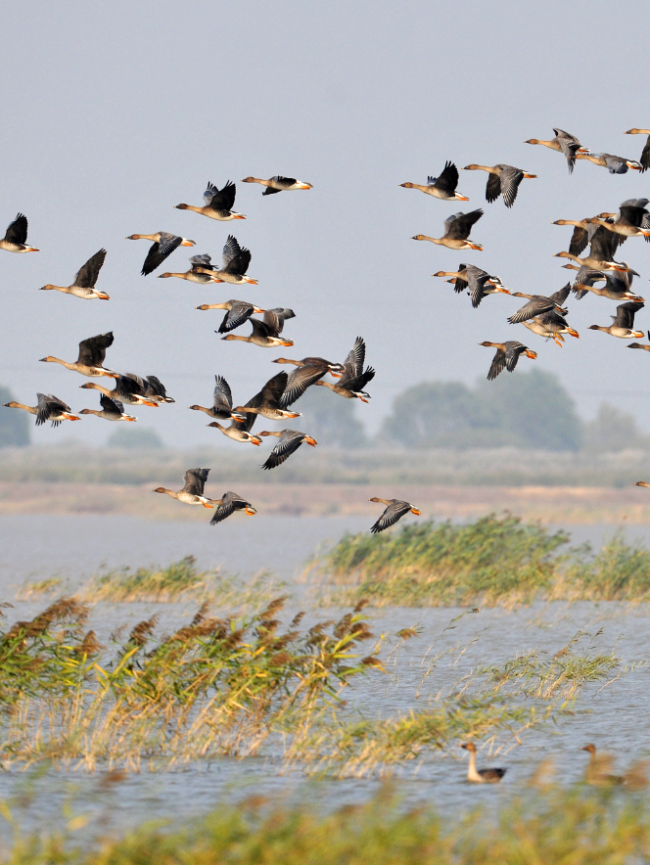 1763564108-4ffce04d92a4d6c