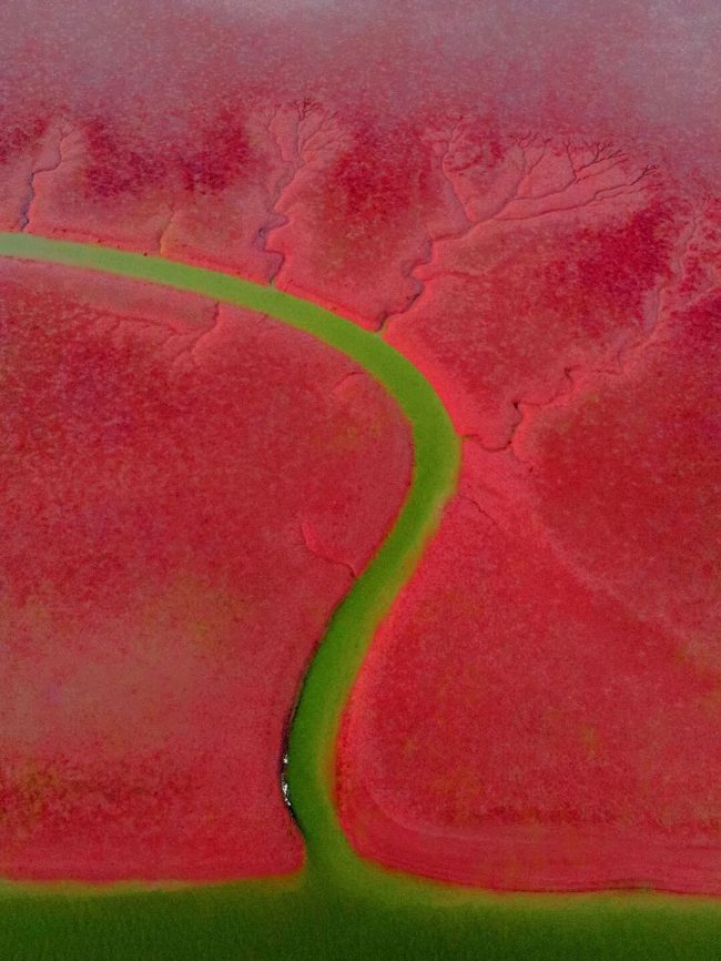 1763564110-4ffce04d92a4d6c-1