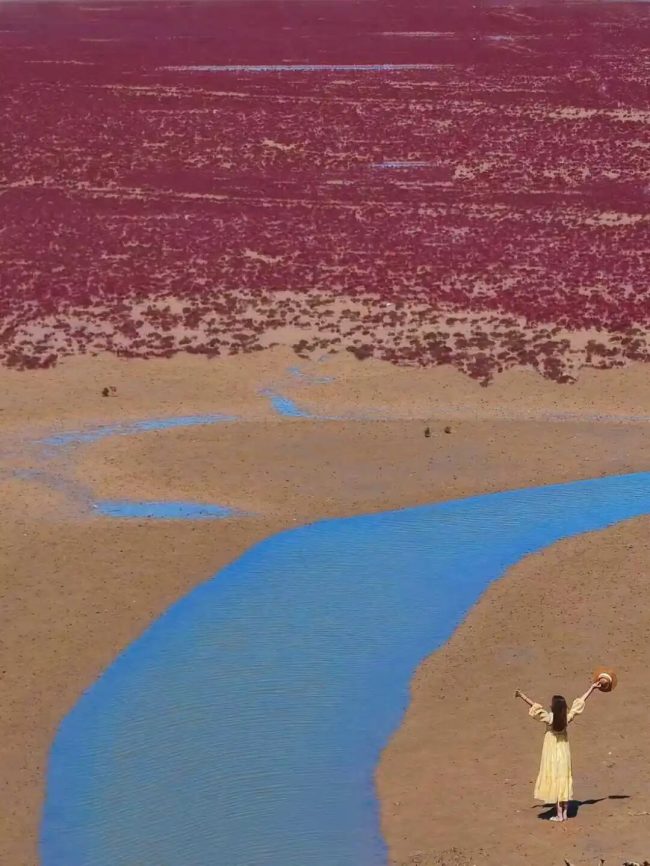 1763564110-4ffce04d92a4d6c