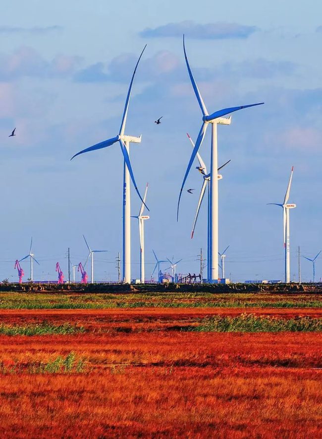 1763564111-4ffce04d92a4d6c