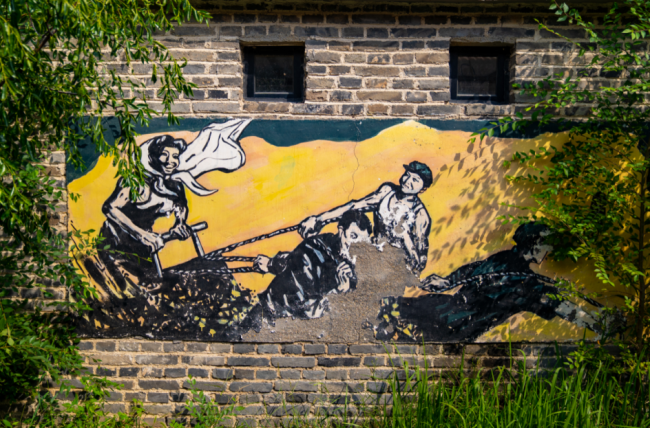 1763564113-4ffce04d92a4d6c-2