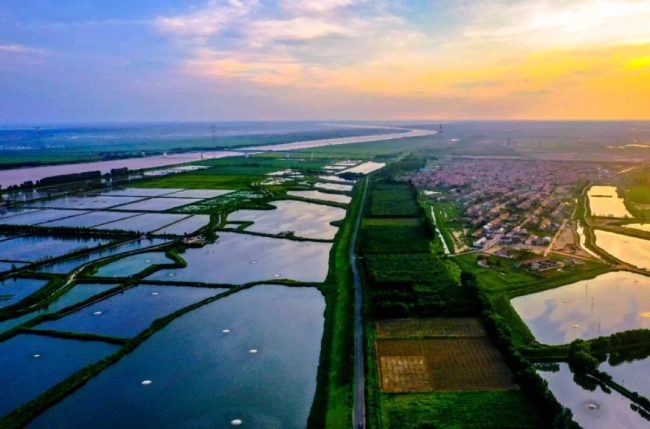 1763564113-4ffce04d92a4d6c