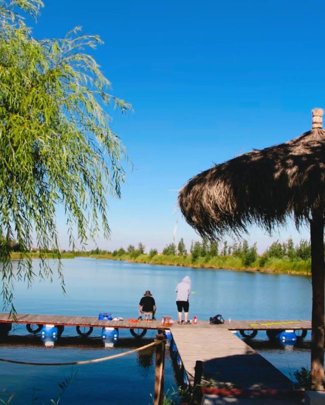 1763564116-4ffce04d92a4d6c