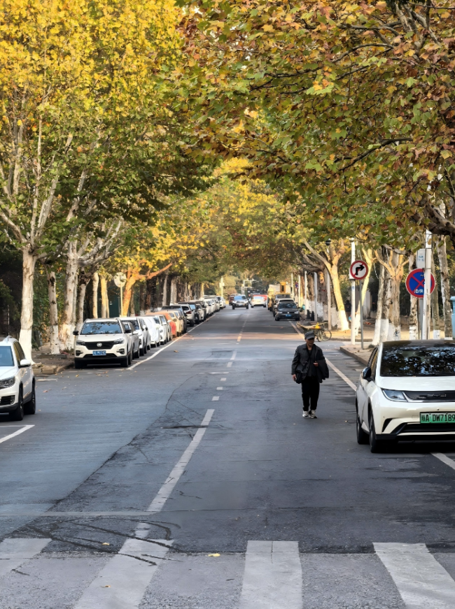 自从发现这个剧透降温的卡片，我妈终于不再唠叨我穿秋裤了