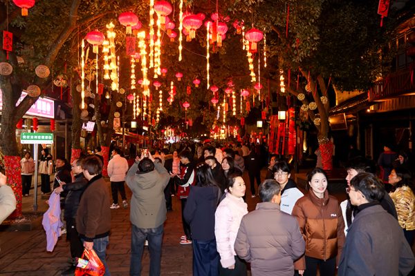 1772264502-719e3d8696d14ee 1772264502-719e3d8696d14ee