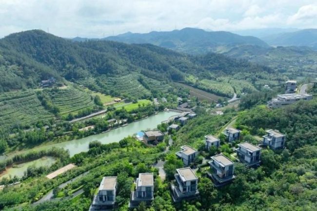 1772769392-47ee20945bbfeb1 1772769392-47ee20945bbfeb1