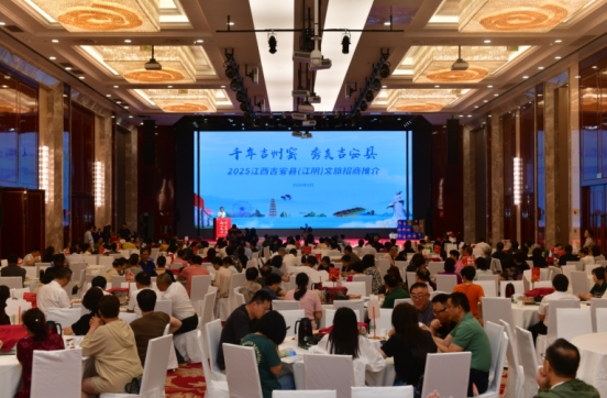 1774070208-fe2559e362b3127