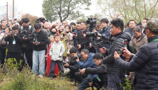 1774158646-af2cf87b44bc482